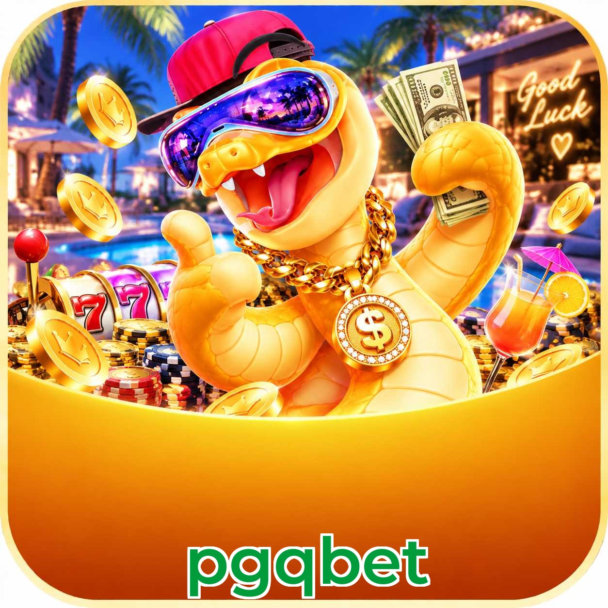 pgqbet App vs Web